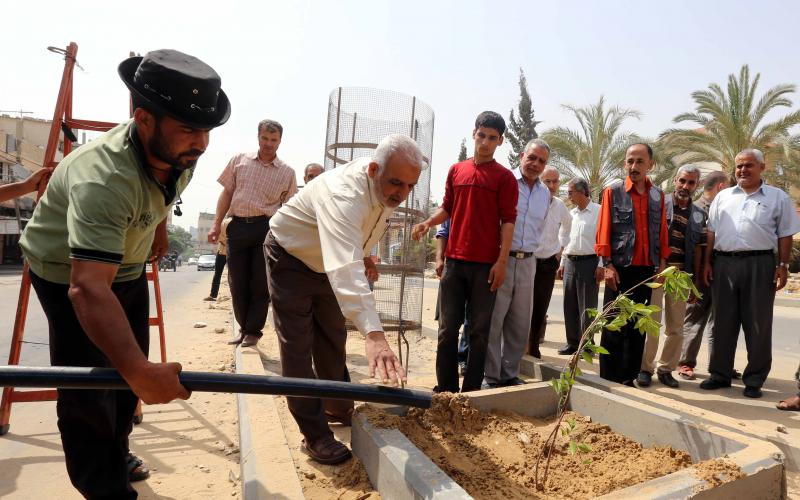 صور: تشجير شارع القسام بحي الأمل