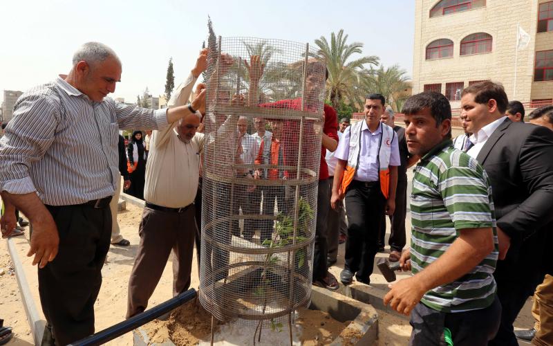 صور: تشجير شارع القسام بحي الأمل
