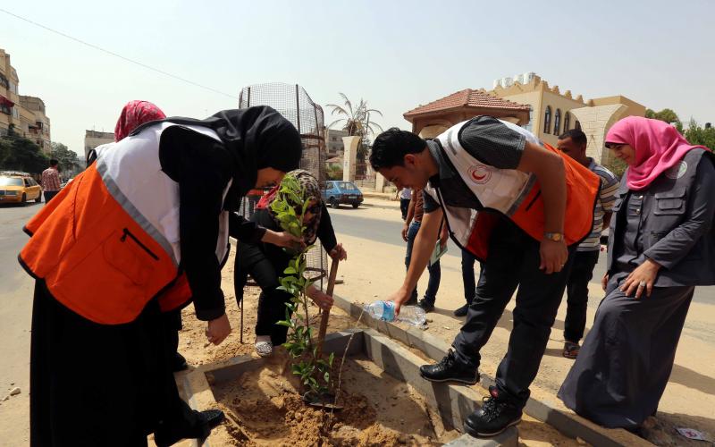 صور: تشجير شارع القسام بحي الأمل