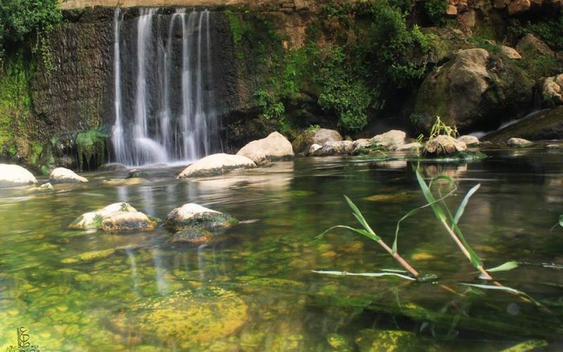 صور: عين الفوّار بـأريحا