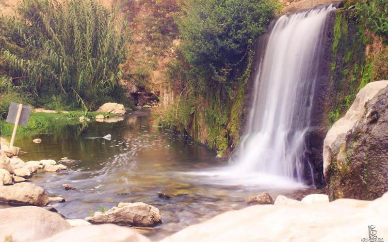 صور: عين الفوّار بـأريحا