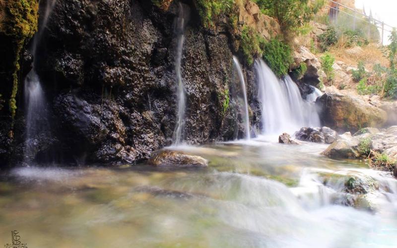صور: عين الفوّار بـأريحا