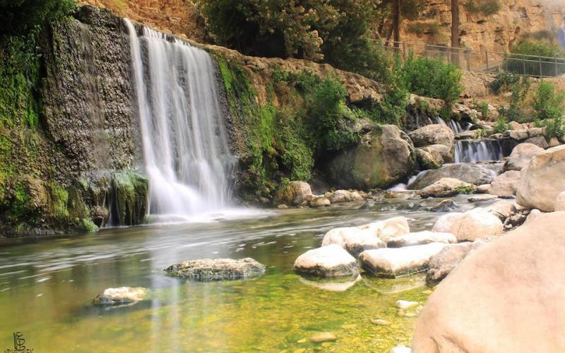 صور: عين الفوّار بـأريحا
