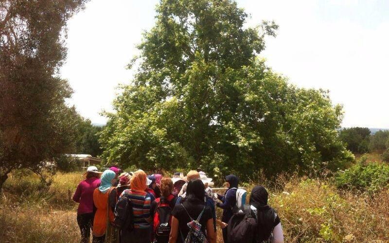 صور: حملة تعريف بالقرى الفلسطينية المهجرة