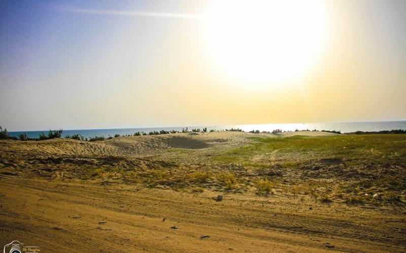 صور: من المناطق الحدودية شمال قطاع غزة