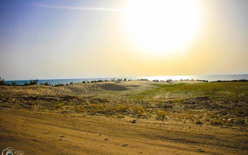 صور: الحدود الشمالية لبيت لاهيا