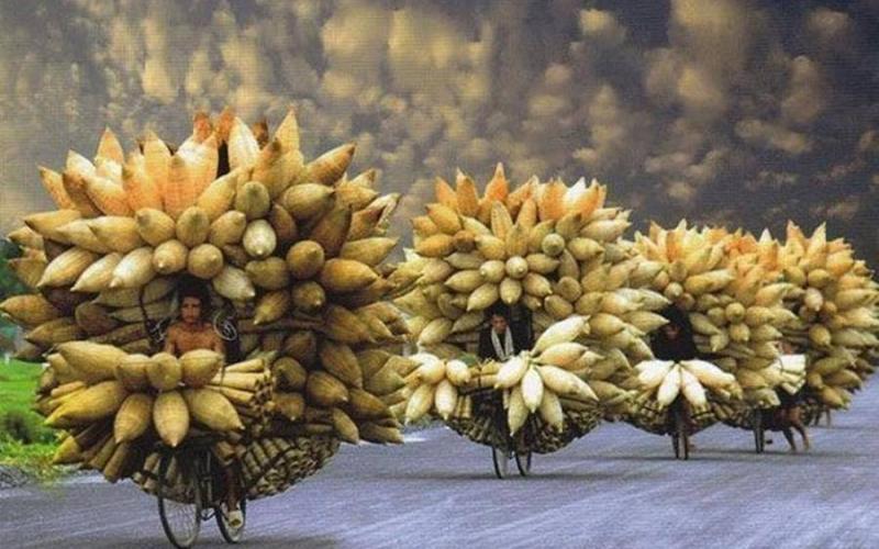 صور: مشاهد عجيبة حيرت العالم