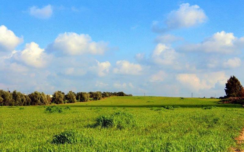 صور: المناطق الشرقية لمخيم البريج