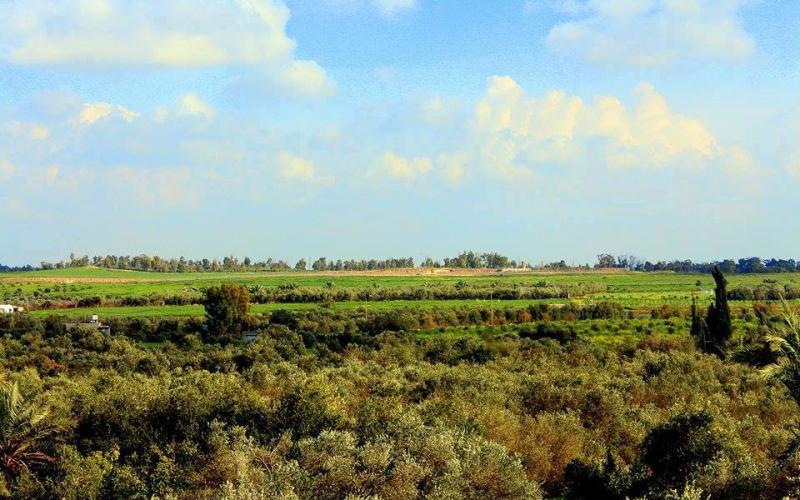 صور: المناطق الشرقية لمخيم البريج