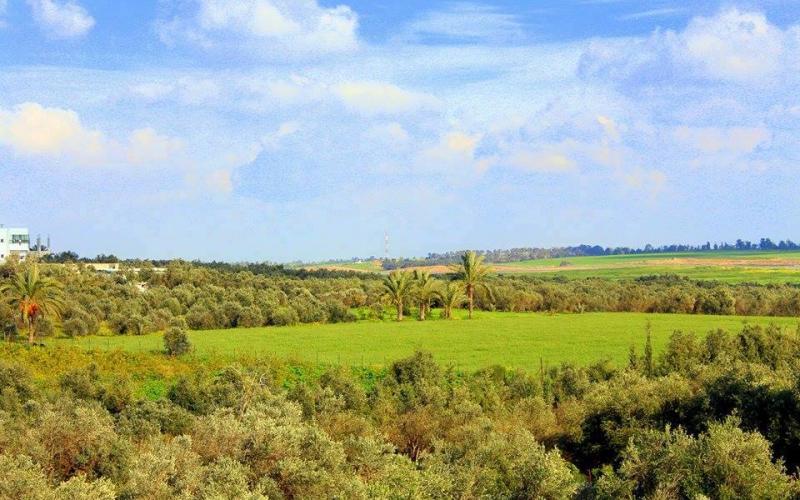 صور: المناطق الشرقية لمخيم البريج