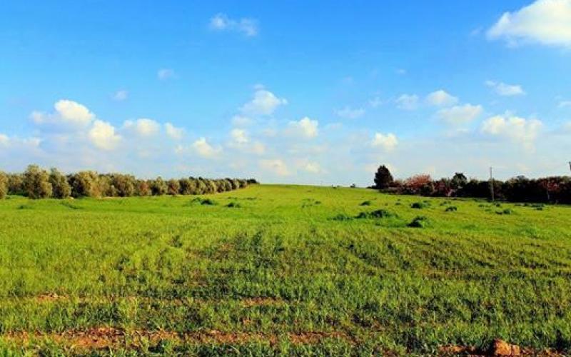 صور: المناطق الشرقية لمخيم البريج