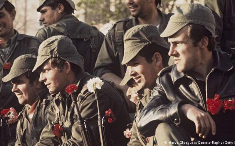 صور: عندما ينتصر سحر الورد على البندقية