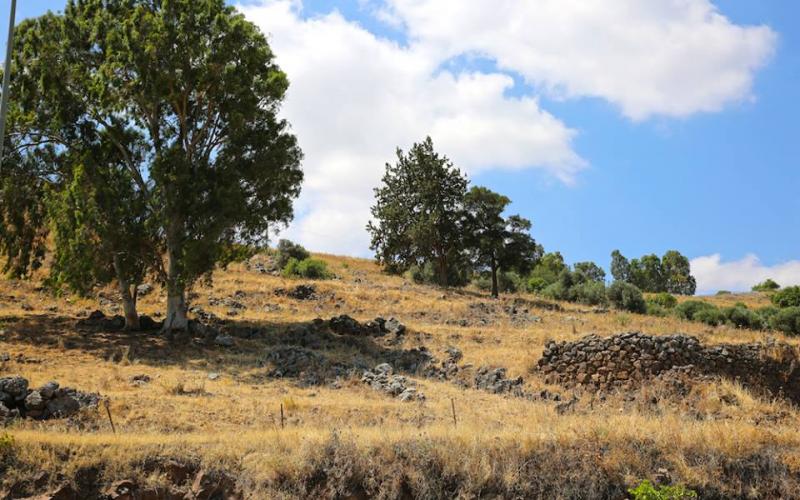 صور: بحيرة طبريا وأحراش قرية لوبيا