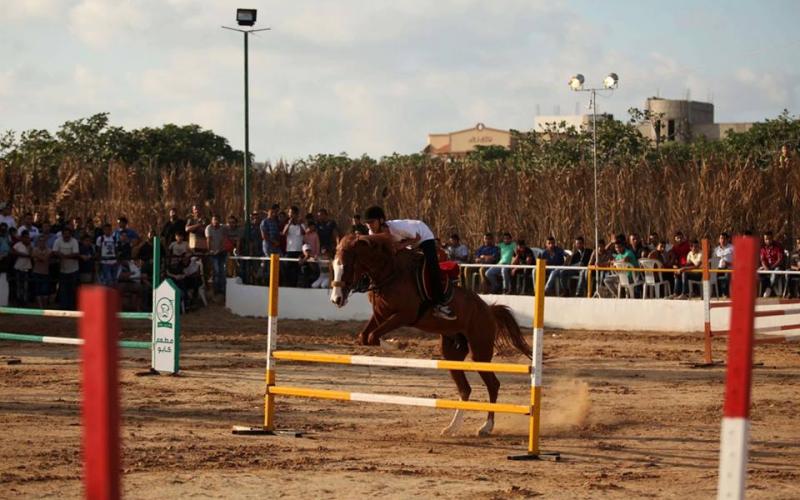 صور: مسابقة في نادي الفروسية بغزة