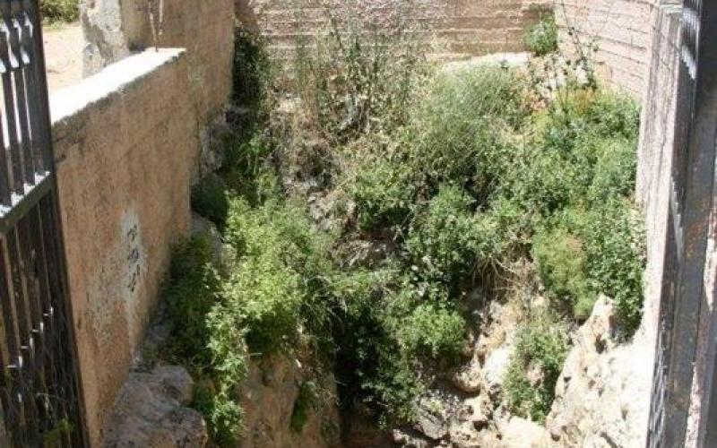 صور: "العين الجديدة" في تل الرميدة بالخليل