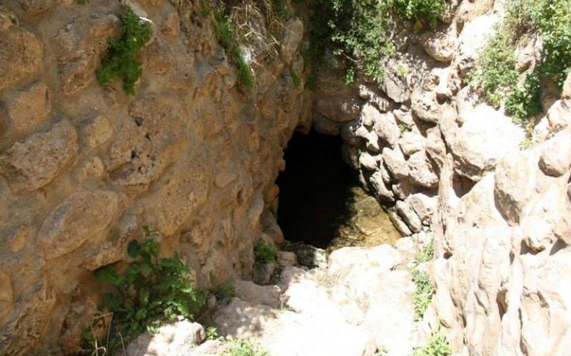 صور: "العين الجديدة" في تل الرميدة بالخليل
