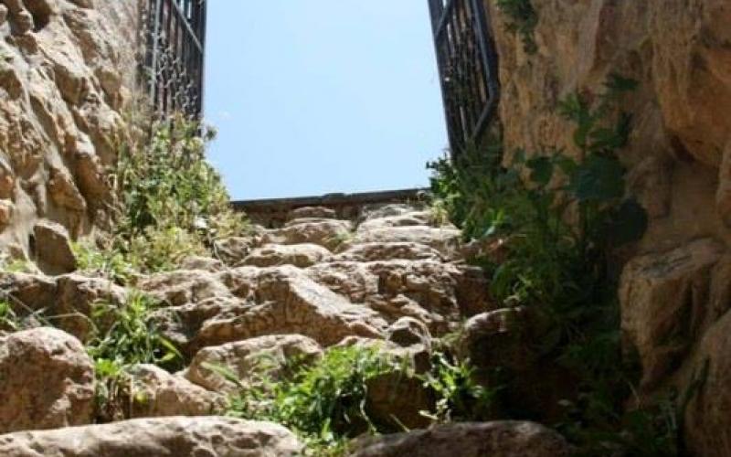 صور: "العين الجديدة" في تل الرميدة بالخليل