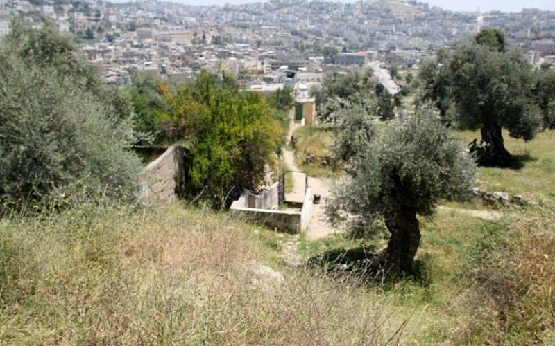 صور: "العين الجديدة" في تل الرميدة بالخليل