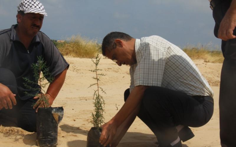 بالصور: حملة شعبية لتشجير محيط المجمع الطبي برفح‎