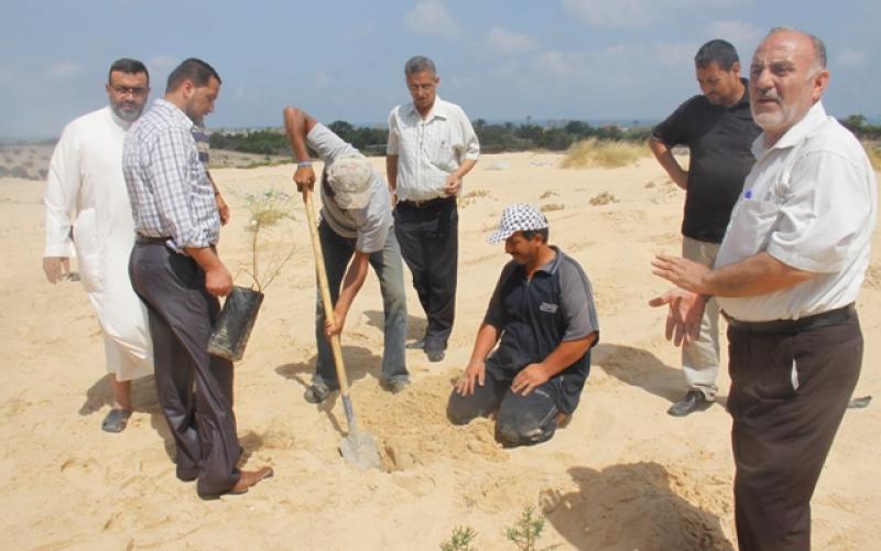 بالصور: حملة شعبية لتشجير محيط المجمع الطبي برفح‎
