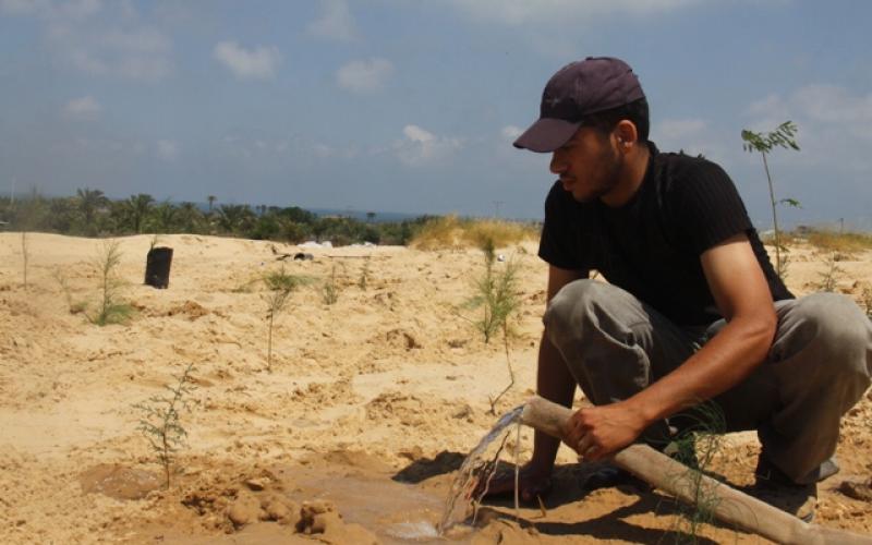 بالصور: حملة شعبية لتشجير محيط المجمع الطبي برفح‎