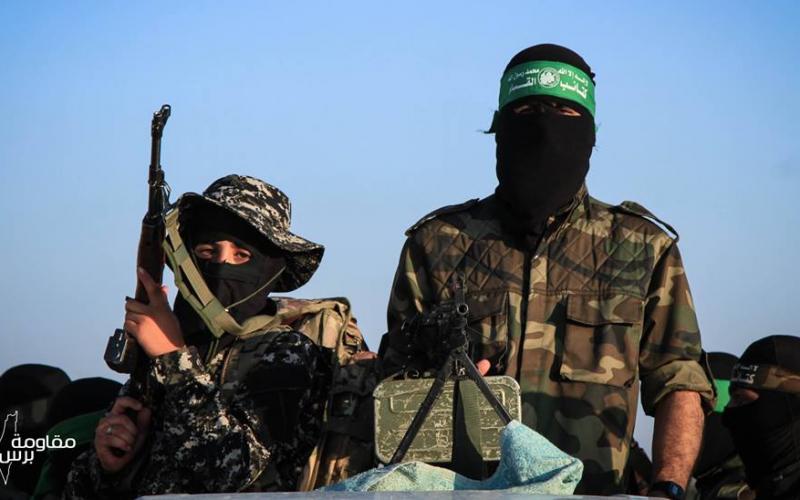 صور: فعاليات مخيمات طلائع التحرير برفح