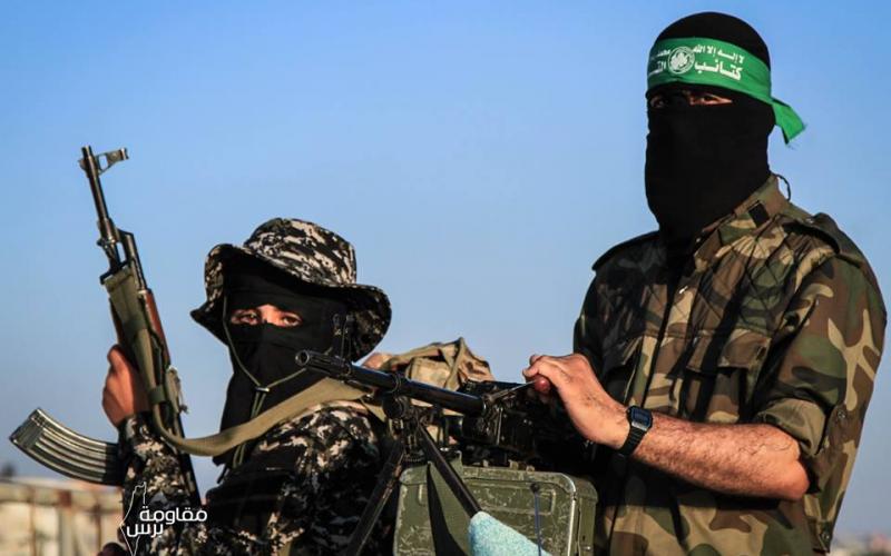 صور: فعاليات مخيمات طلائع التحرير برفح