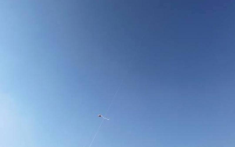 صور: مهرجان الطائرة الورقية بالبيرة