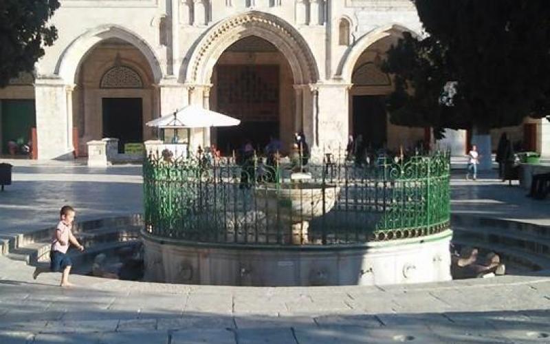 صور: من باحات المسجد الأقصى هذا الصباح
