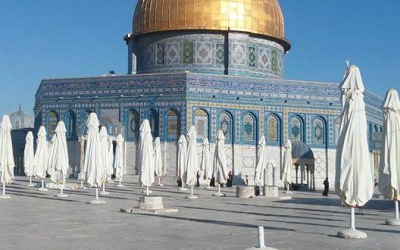 صور: من باحات المسجد الأقصى هذا الصباح