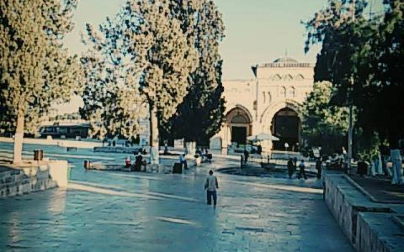 صور: من باحات المسجد الأقصى هذا الصباح