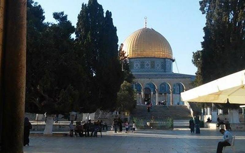 صور: من باحات المسجد الأقصى هذا الصباح