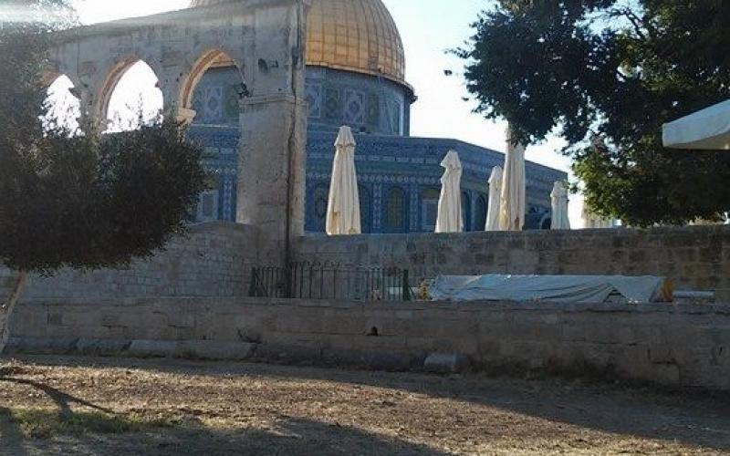 صور: من باحات المسجد الأقصى هذا الصباح