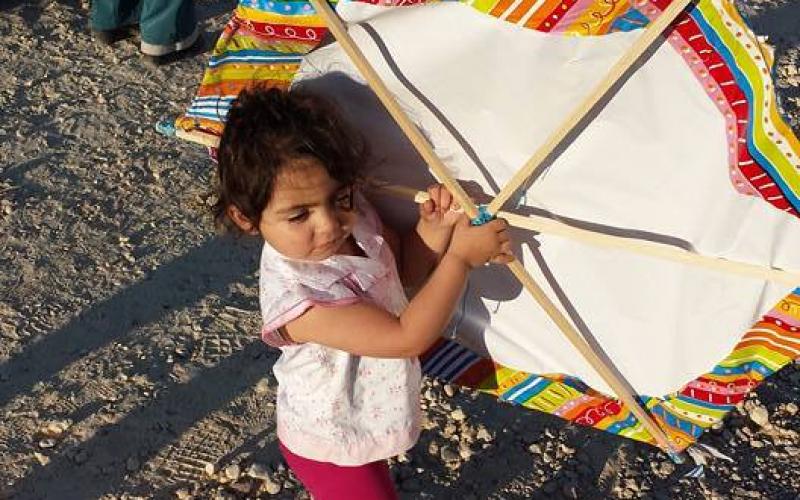 صور:مهرجان الطائرة الورقية في البيرة