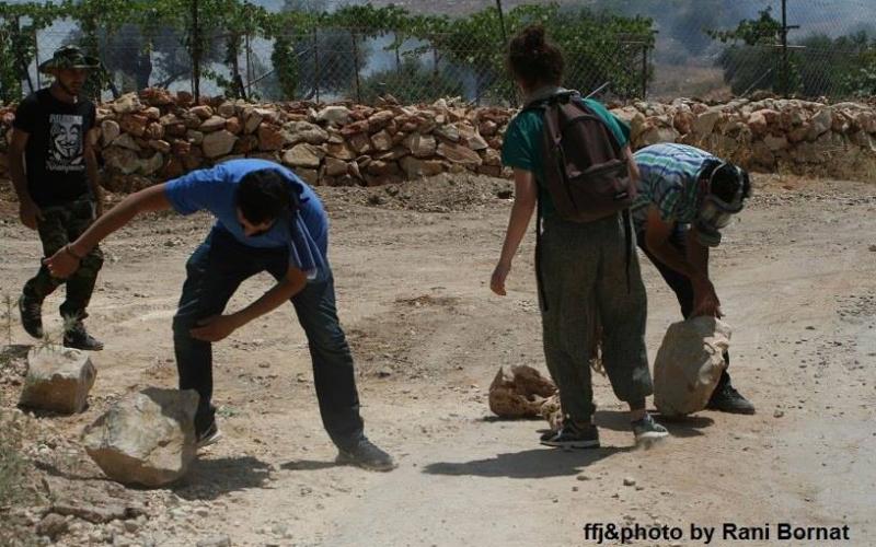 صور: مواجهات بين الاحتلال وناشطين بالضفة