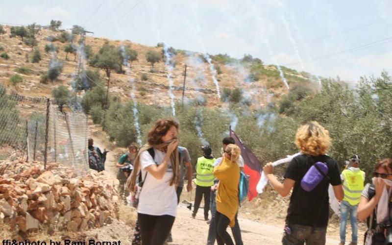 صور: مواجهات بين الاحتلال وناشطين بالضفة