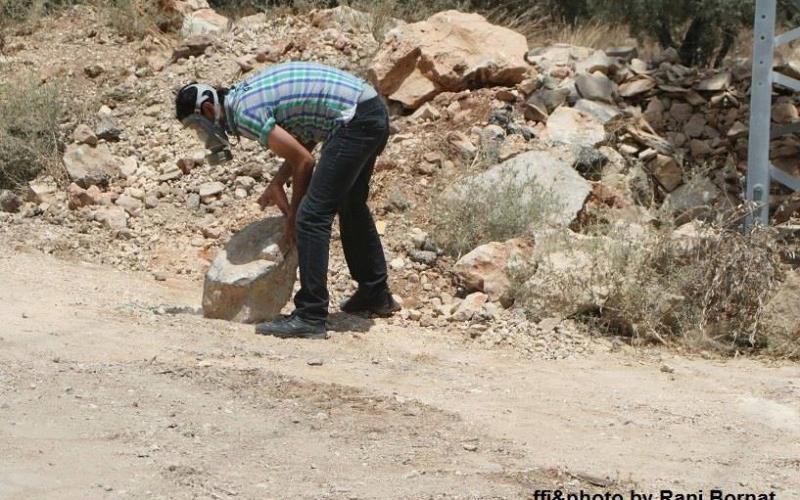 صور: مواجهات بين الاحتلال وناشطين بالضفة