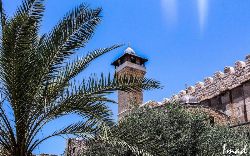 صور:أجواء جمعة رمضان بالمسجد الإيراهيمي