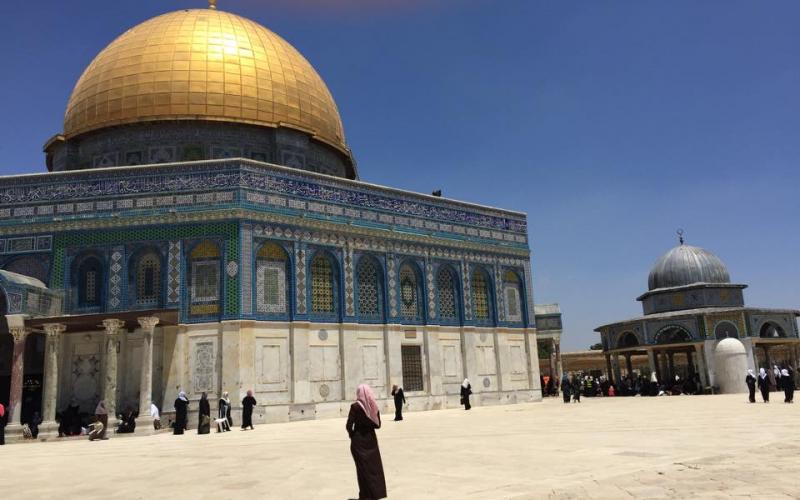 صور: كاميرا "فلسطين الآن" تتجول في القدس والأقصى