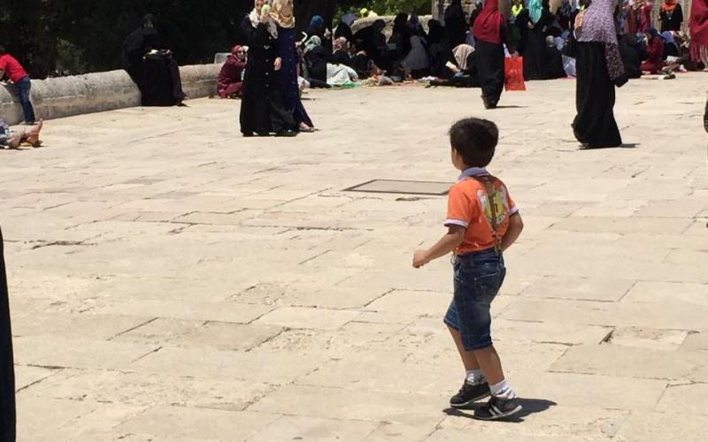 صور: كاميرا "فلسطين الآن" تتجول في القدس والأقصى