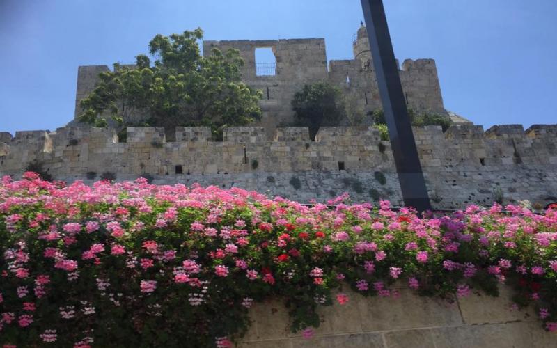 صور: كاميرا "فلسطين الآن" تتجول في القدس والأقصى