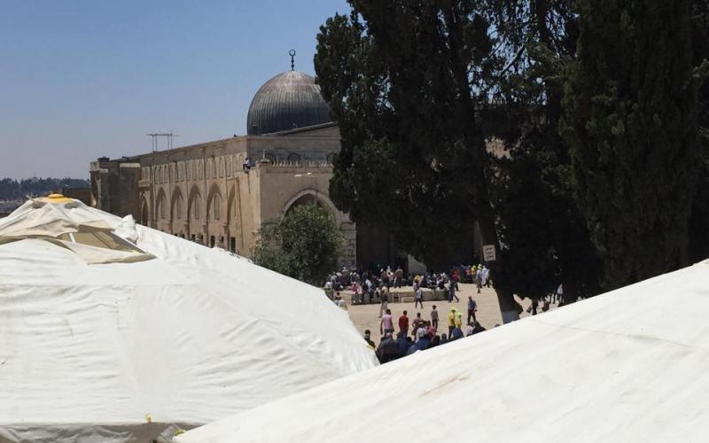 صور: كاميرا "فلسطين الآن" تتجول في القدس والأقصى