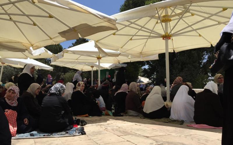 صور: كاميرا "فلسطين الآن" تتجول في القدس والأقصى