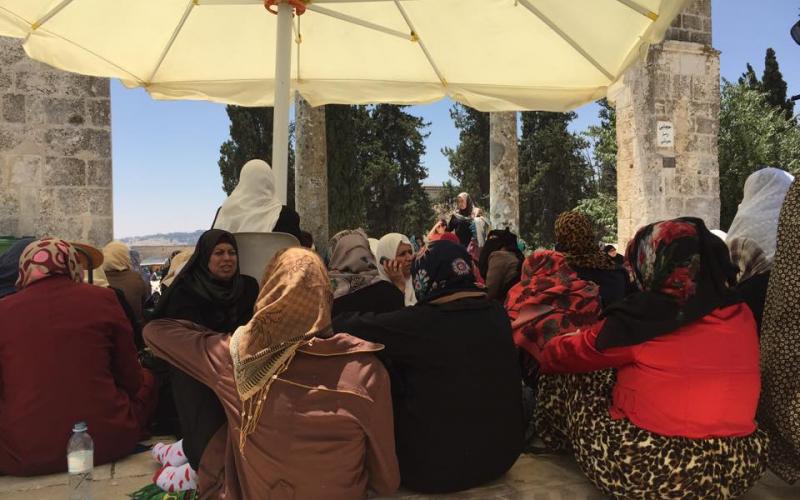 صور: كاميرا "فلسطين الآن" تتجول في القدس والأقصى
