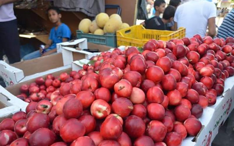 صور: أجواء شهر رمضان بالمحافظة الوسطى