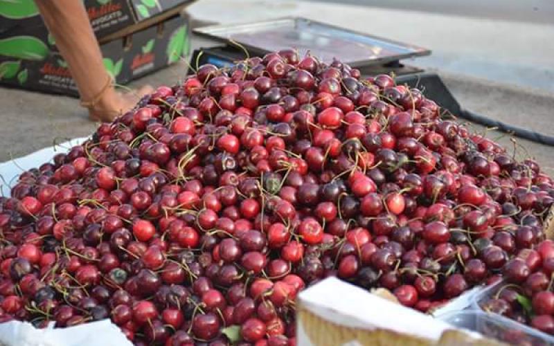صور: أجواء شهر رمضان بالمحافظة الوسطى