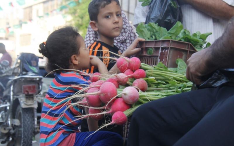 صور: أجواء رمضان في محافظة "رفح"