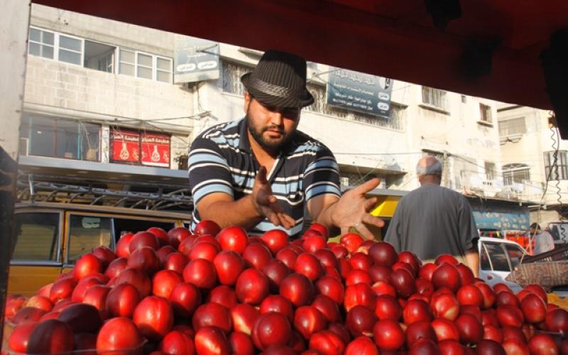 صور: أجواء رمضان في محافظة "رفح"