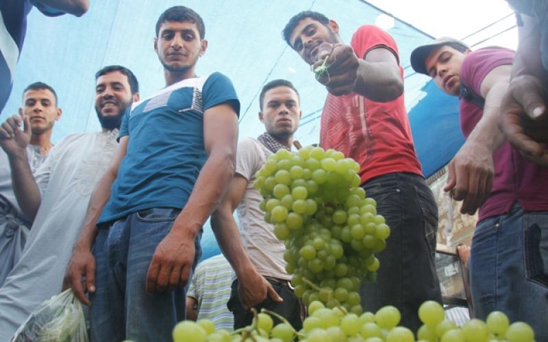 صور: أجواء رمضان في محافظة "رفح"