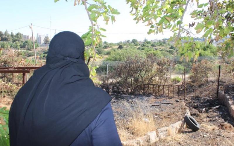 بالصور: في قلب الخليل.. أودية تركت للمجهول